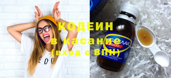PSILOCYBIN Алзамай