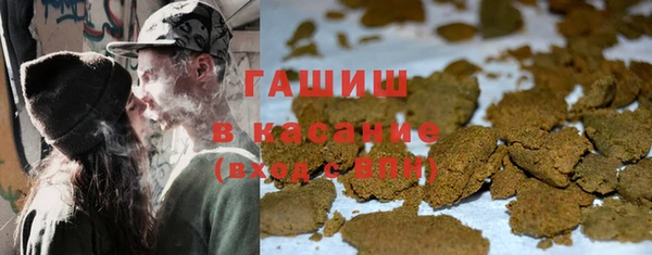 PSILOCYBIN Алзамай